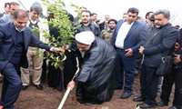برگزاری آیین روز درختکاری و آغاز هفته منابع طبیعی در کرمان